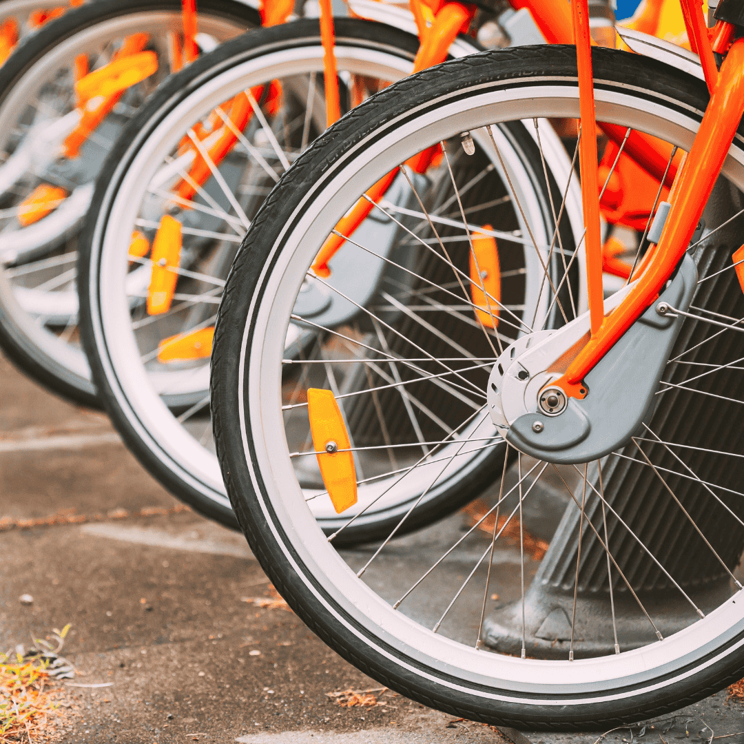 Fleet Bikes